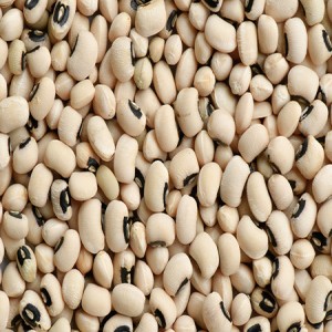 Haricot blanc kg