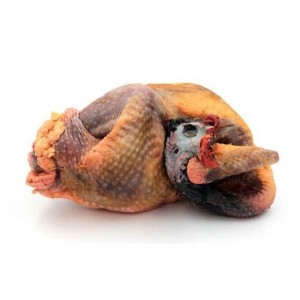 Viande de pintade kg
