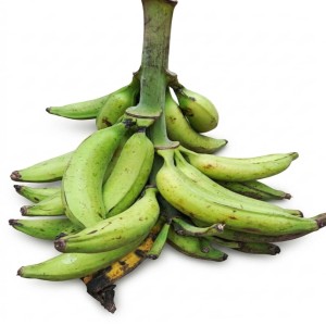 Gros Régime de banane plantain