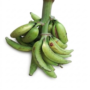 Régime de banane plantain moyen