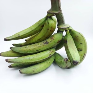 Régime de banane plantain (petit format)