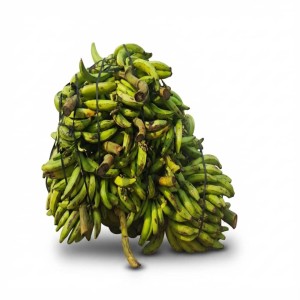 Banane plantain en gros