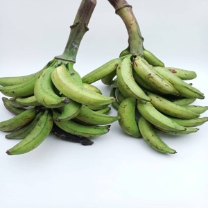 Banane plantain/abonnement