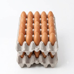oeuf de table (plateau de 30)