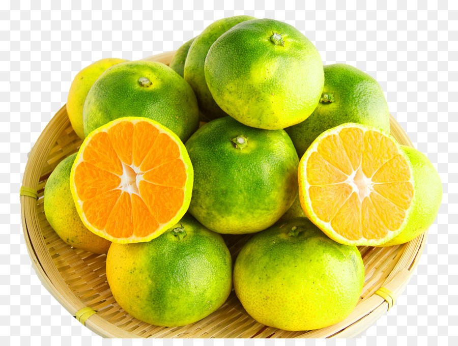 orange (lot de 40)