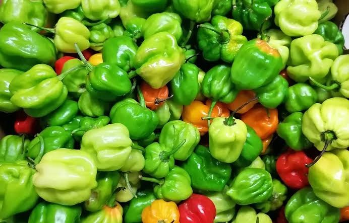 PIMENT ROND Kg