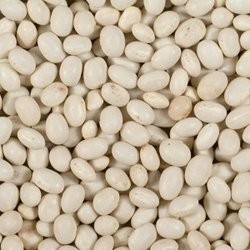 Cassoulet petit grain (Kg)