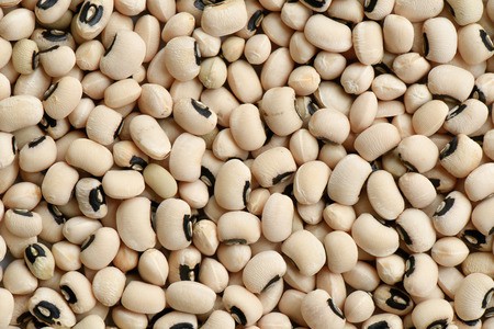 Haricot blanc kg
