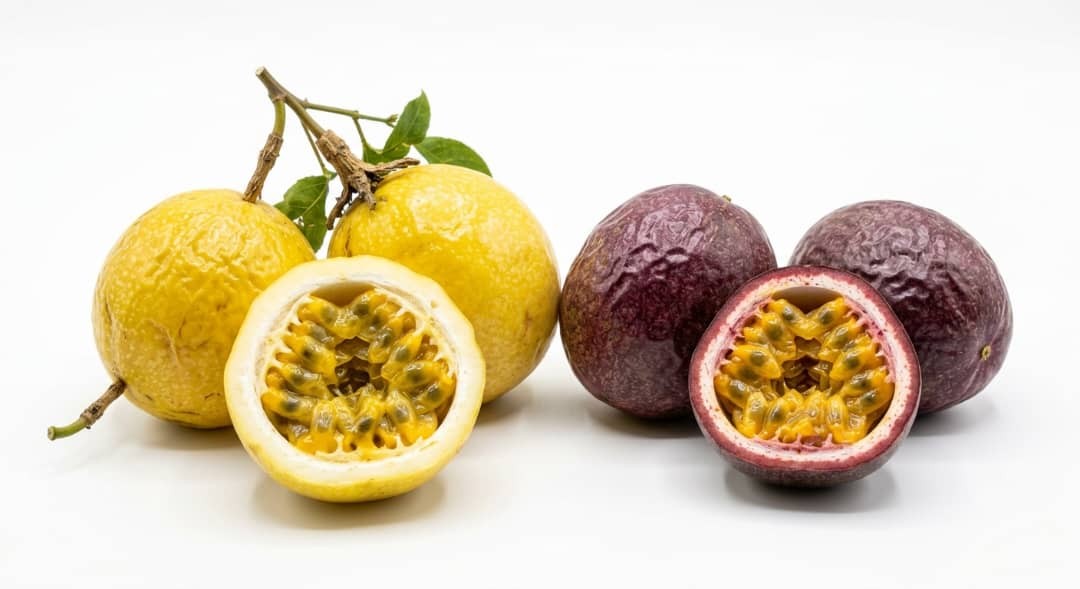 Fruit de la passion Kg